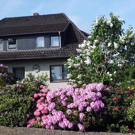 Haus Wiesel Bispingen Eksteriør billede